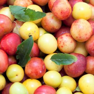 mirabelková povidla